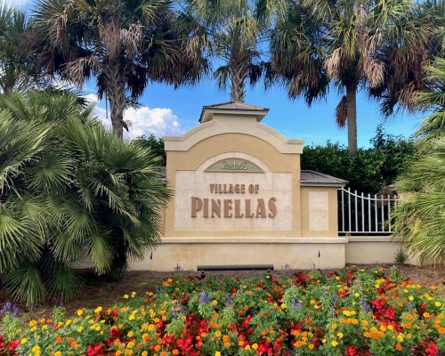 pinellas-district-nine
